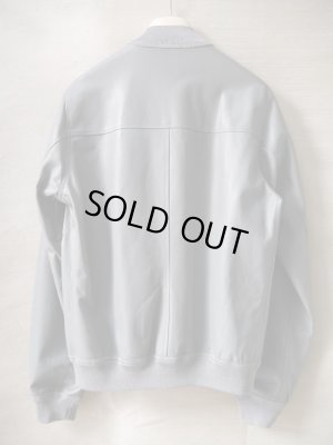 画像3: Valstar(ヴァルスター）　ゴート　ナッパ　グレイ　ヴァルスタリーノブルゾンタイプ　（オールシーズン）